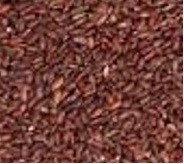 Test Reference 24104626.jpg